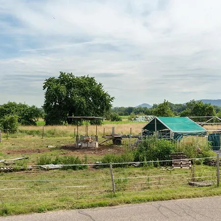 Neubau Kleine Auszeit Apartmán *